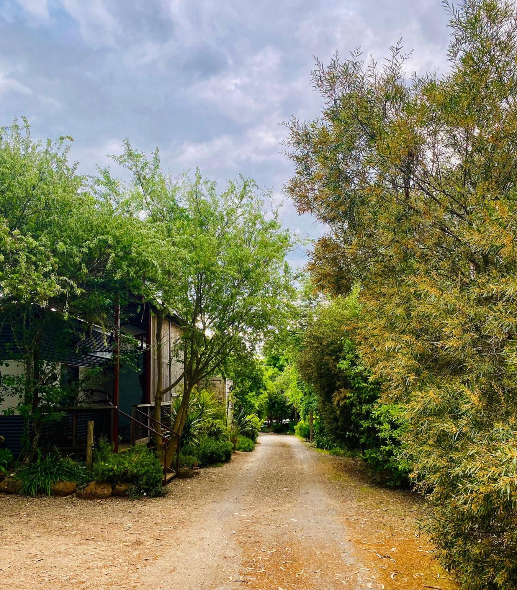 Apartament Sutton Spring Art Retreats Daylesford Pokój zdjęcie