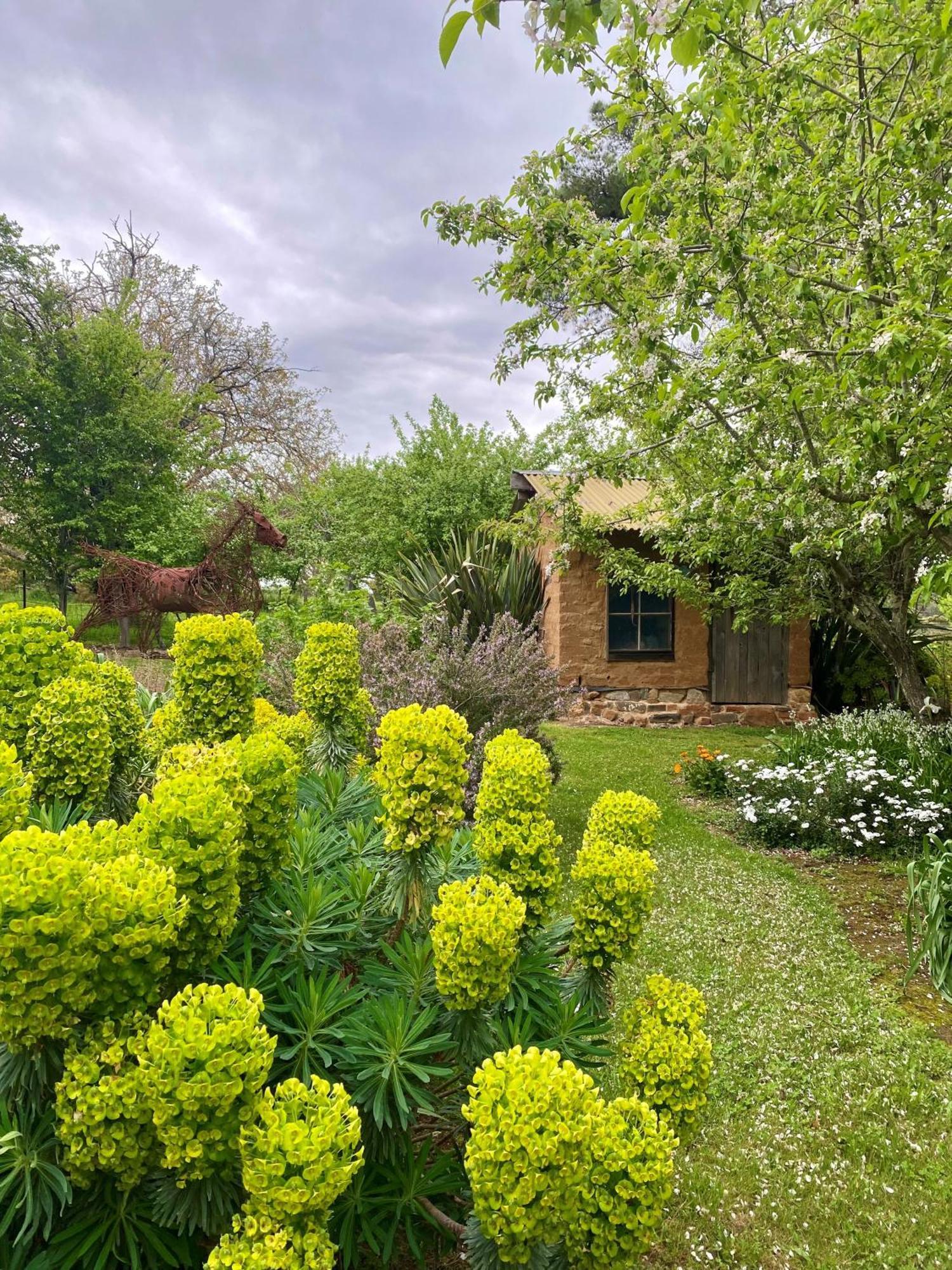 Apartament Sutton Spring Art Retreats Daylesford Zewnętrze zdjęcie